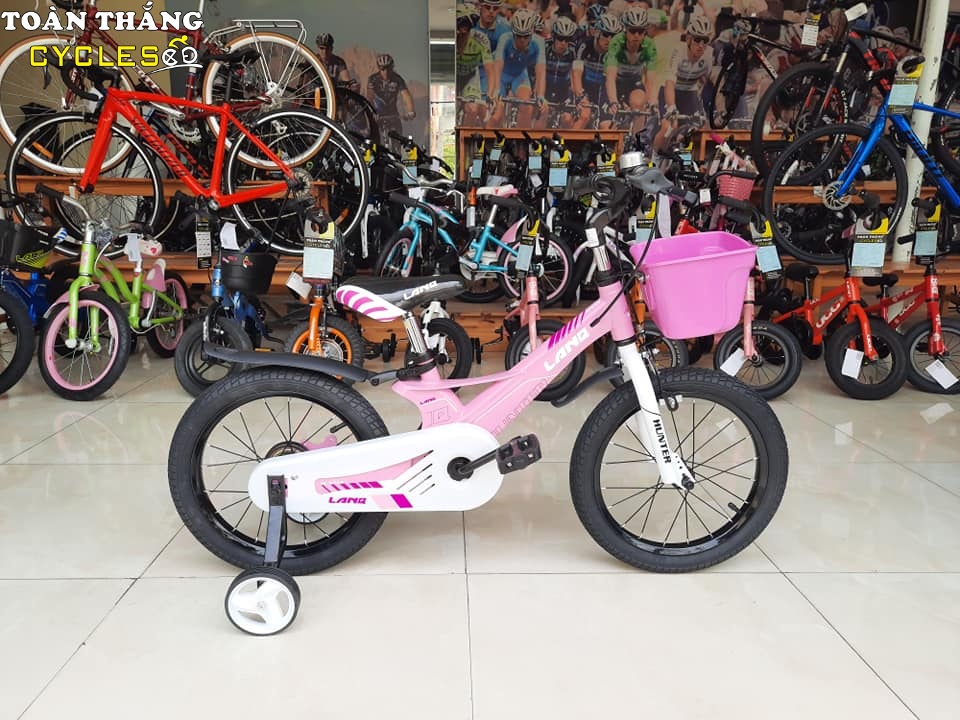 Xe đạp trẻ em LanQ Hunter FD1650 2019 Pink
