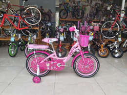 Xe đạp trẻ em LanQ 1653 Pink