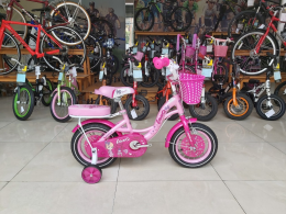 Xe đạp trẻ em LanQ 1253 Pink